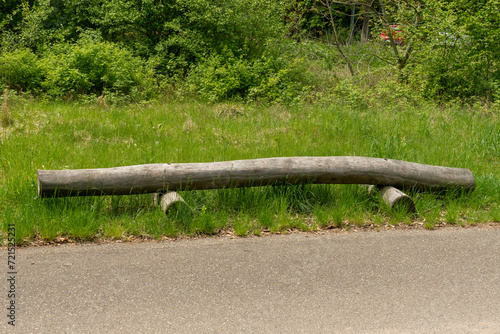 Nature bench made from a wooden trunk in the meadow