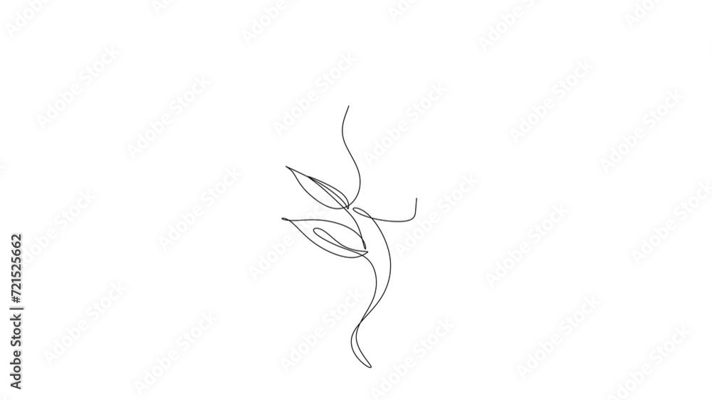 Animated self-drawing of one continuous line drawing minimalist beauty nature cosmetic hairstyle. A flower bouquet in woman head abstract face concept. Wall decor print. Full-length single-line animat Animated self-drawing of one continuous line drawing minimalist beauty nature cosmetic hairstyle. A flower bouquet in woman head abstract face concept. Wall decor print. Full-length single-line animat