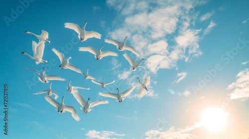 A flock of swans flies against the blue sky forming a heart shape