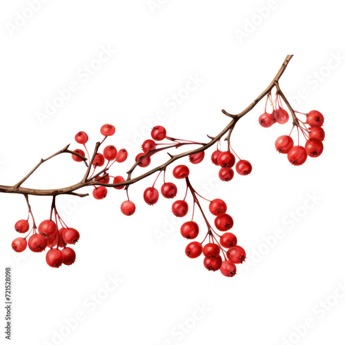 Bunch of red berries isolated in transparent background