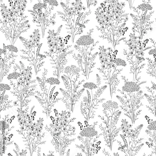  Seamless floral background of bouquets of wild flowers. Botanical clip art. Wildflowers wreath skethc.Vector  Line drawn leaves and branches.Vector flowers. Floral decor. photo