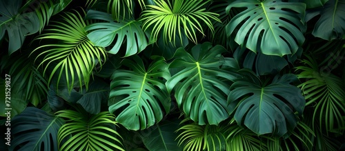 Lush Tropical Green Leaves  A Stunning Display of Tropical Greenery with Flourishing Leaves