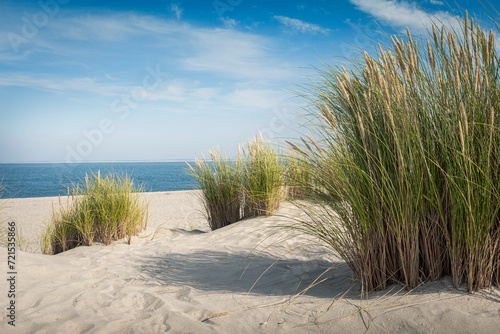 Sylt Strand Schilf 