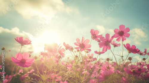 pink flower © hina