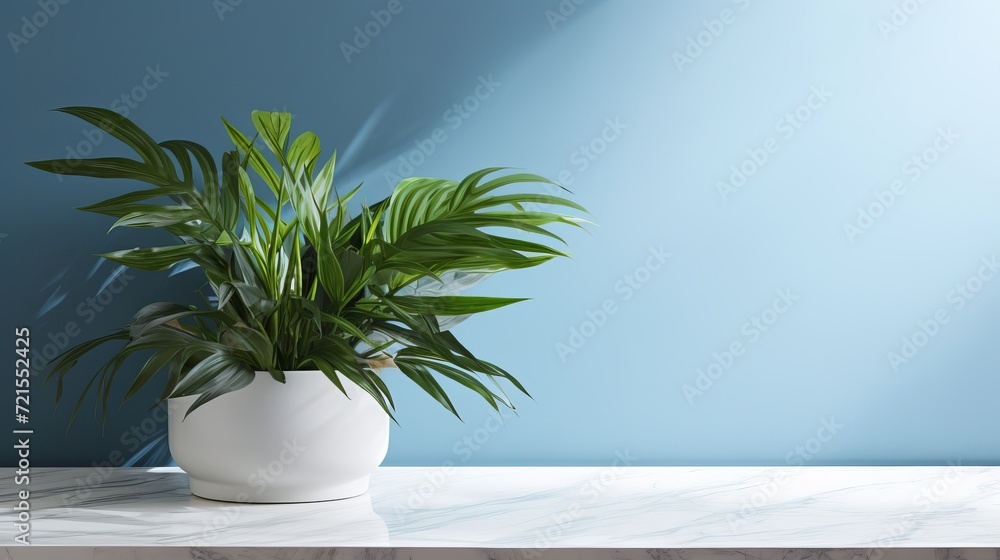 A backdrop for products features an empty marble tabletop, a blue wall, and shadows cast by plants. A backdrop for products features an empty marble tabletop, a blue wall, and shadows cast by plants.