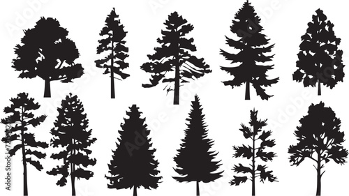 Set Christmas Trees. Hand drawn vector illustration