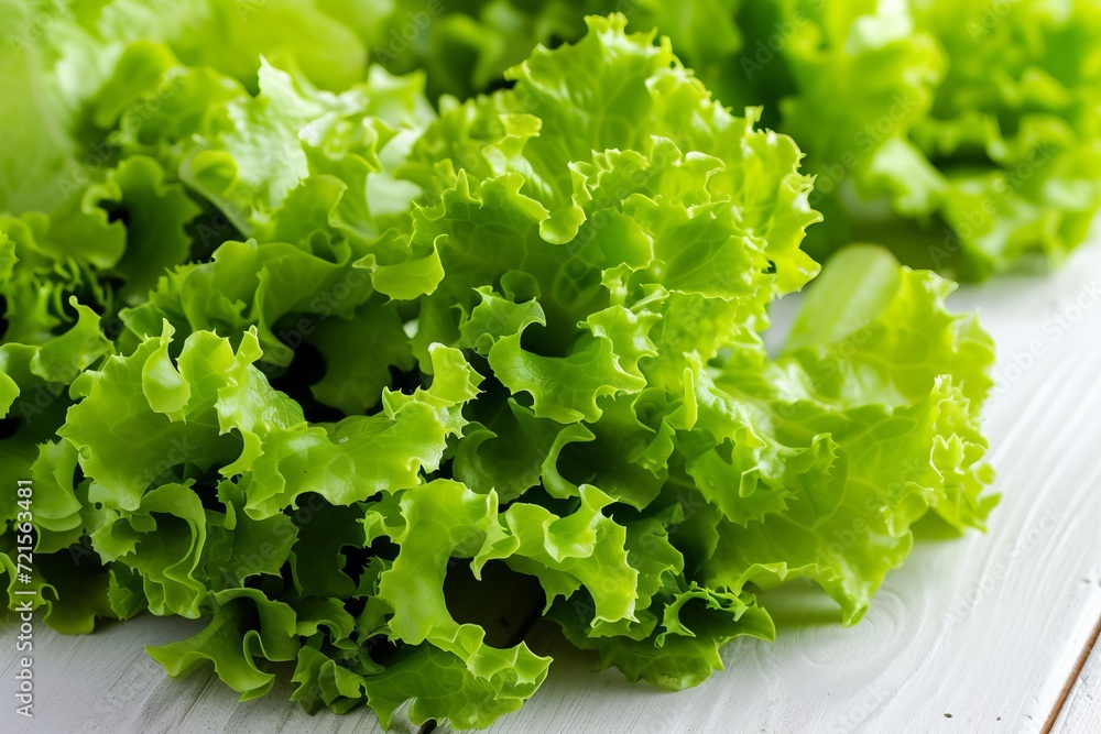 Fresh Green Lettuce Leaves Arranged Neatly on a Clean White Surface. Fresh Green Lettuce Leaves Arranged Neatly on a Clean White Surface.