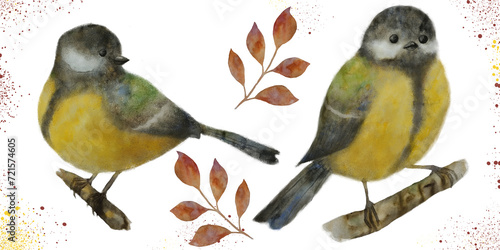 Hand drawn watercolor and pastel illustration of tits. Tiny titmouse birds isolated on white.