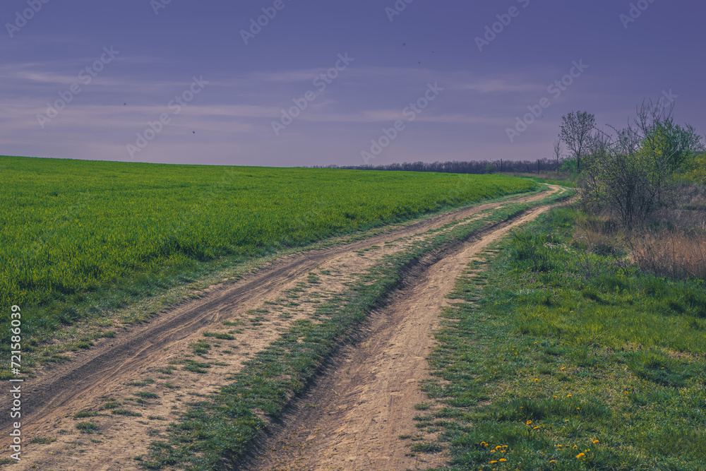 rural path among green spring fields rural path among green spring fields