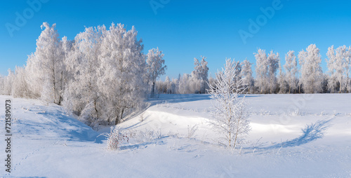 Panorama of frost-covered trees against a blue sky background