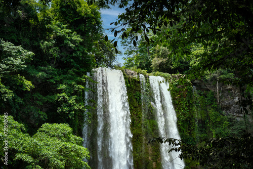 A view of Misol-Ha waterfalls  Chiapas  Mexico