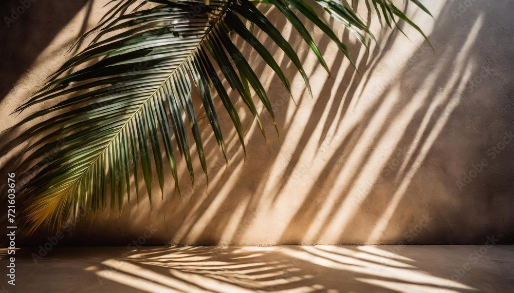 Shadow of palm leaf on the wall. Abstract background for design.