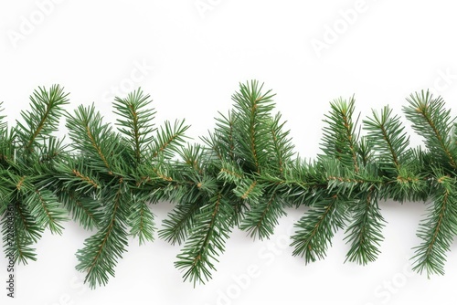 A branch of a Christmas tree isolated on a white background. Perfect for holiday designs and festive decorations © Fotograf