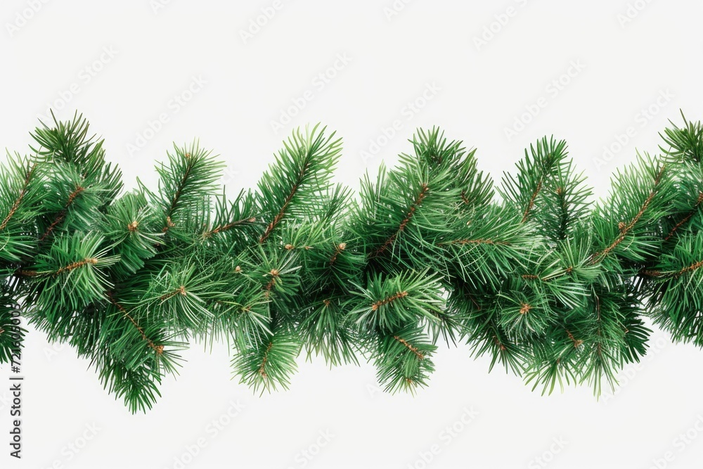A detailed close-up view of a pine tree branch. This image can be used for nature-themed designs or to depict the beauty of the outdoors