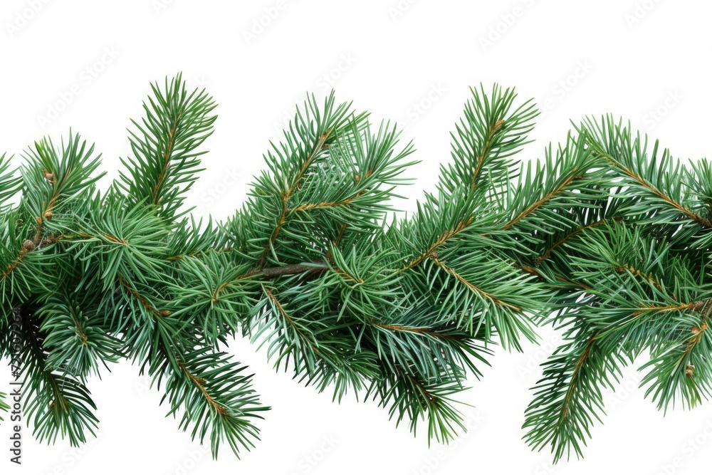 A branch of a pine tree isolated on a white background. Perfect for nature-themed designs or holiday decorations A branch of a pine tree isolated on a white background. Perfect for nature-themed designs or holiday decorations