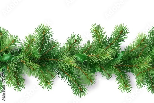 A detailed view of a branch from a Christmas tree. Perfect for holiday-themed designs and decorations