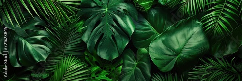 Tropical green leaves. Lush jungle background.