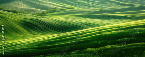 Sweeping Green Wheat Fields at Sunset
