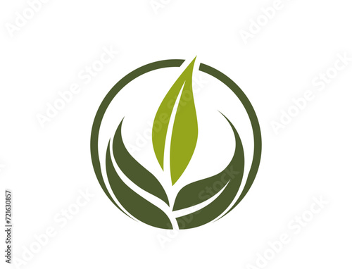 Eco logo. green leaf, floral, organic and nature icon. vector image in flat design