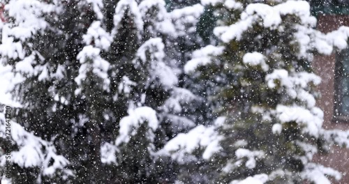 Heavy snowfall gathering on tree branches in winter landscape