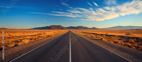 Endless Journey: Captivating the Long, Straight Road and the Lure of the Blue Sky