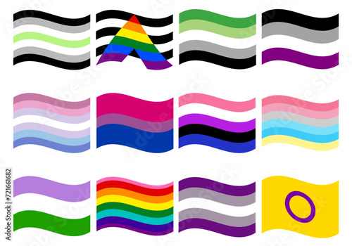 LGBT Pride flag set. Pride community flag. 
