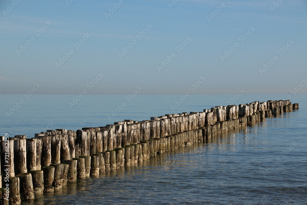 Wooden Poles in Water