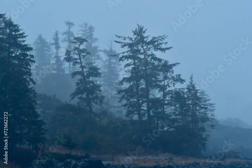 Uclulet Canada Storm watching trip