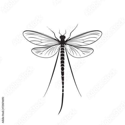 dragonfly isolated on white © iclute