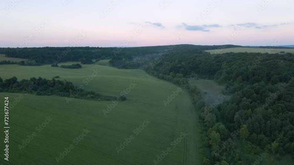 Green agricultural field with growing crops in summer season. Farming and agriculture industry Green agricultural field with growing crops in summer season. Farming and agriculture industry