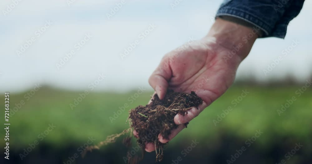 Hand, soil and inspection on land for sustainable planting growth, quality assurance or agriculture. Person, farmer and compost environment or fertilizer at greenhouse, organic vegetable or gardening Hand, soil and inspection on land for sustainable planting growth, quality assurance or agriculture. Person, farmer and compost environment or fertilizer at greenhouse, organic vegetable or gardening