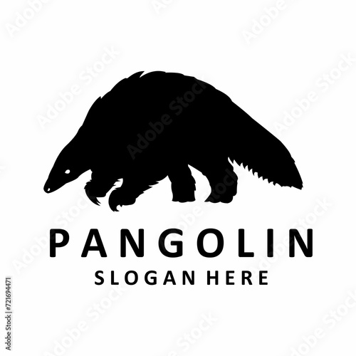 pangolin on white background photo