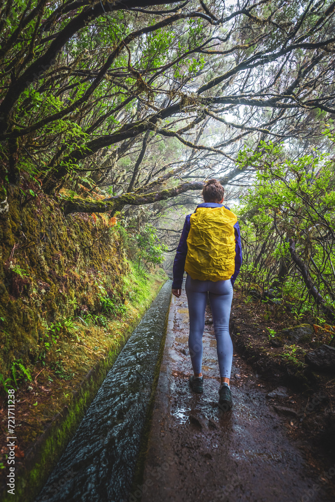 Female tourist with backpack walks on a path next to a water channel through a laural forest on a rainy day. 25 Fontes waterfalls, Madeira Island, Portugal, Europe. Female tourist with backpack walks on a path next to a water channel through a laural forest on a rainy day. 25 Fontes waterfalls, Madeira Island, Portugal, Europe.