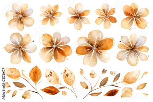 Bronze several pattern flower  sketch  illust  abstract watercolor  flat design  white background