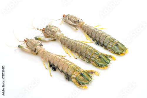 fresh mantis shrimp on white background photo