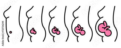 妊婦のお腹と胎児の成長のイメージ