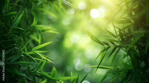 Relaxing bamboo background Create a calm and natural atmosphere