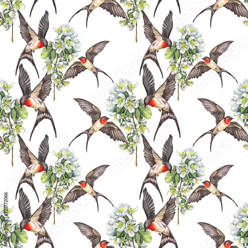 Seamless pattern with watercolor flying two swallows and apple flower on white background. Hand-drawn spring bird and flowers for card or wedding celebration invite. Decor for wrapping or wallpaper