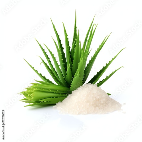 a aloe turmenic rice, studio light , isolated on white background photo