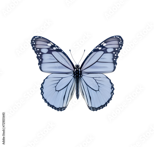 monarch-butterfly-centered-in-frame-wings-spread-showcasing-symmetrical-patterns-floating-against