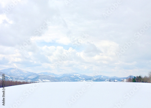 winter landscape with snow