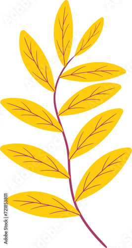 plant illustration, plant branch with yellow leaves entering autumn