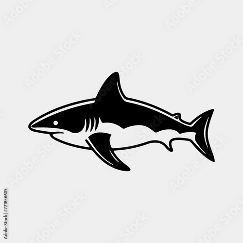 a shark with a long tail and a sharp sharp fin