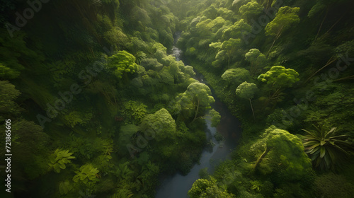 Mystical Rainforest Canopy  Veiled in Mist and Sunbeams AI-Generative