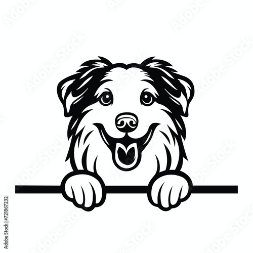 Australian Shepherd dog peeking isolated illustration vector

