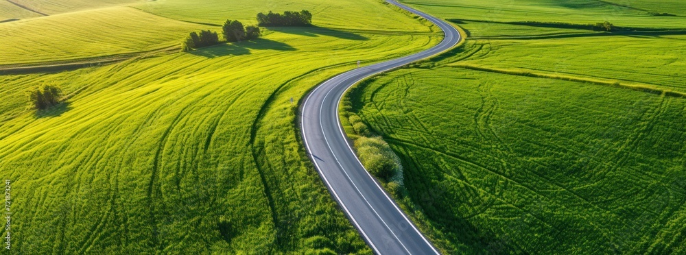 a highway in a green wheat field, Aerial view 