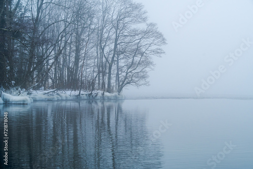 朝もやの湖の湖畔の木々。北海道の屈斜路湖。