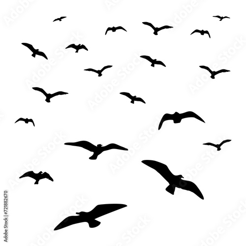 birds circling in the sky, black © elisabetaaa