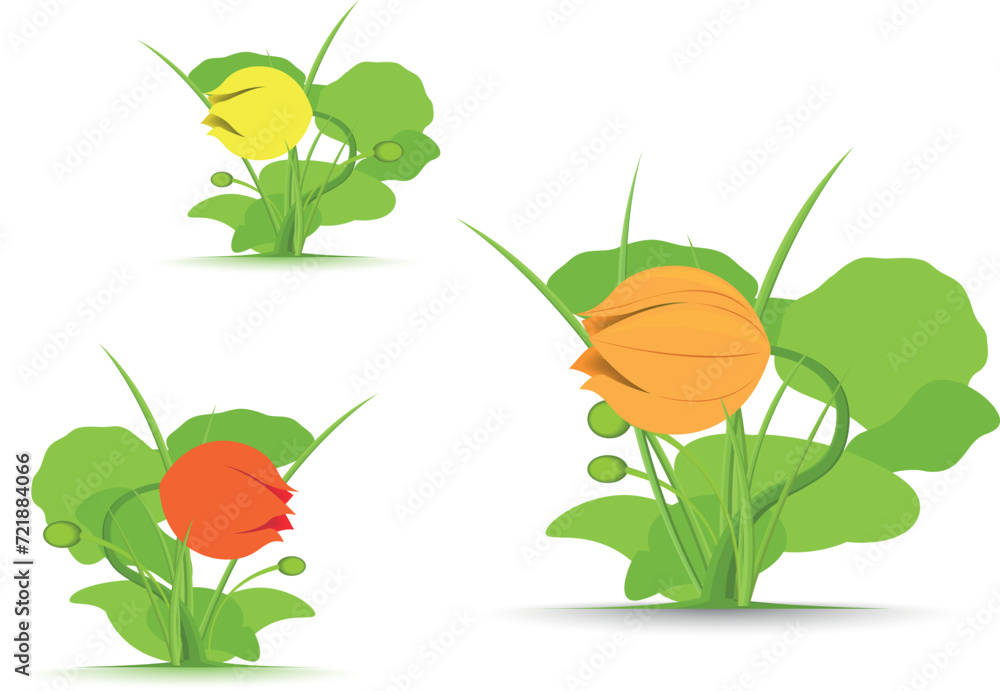 Set of small  spring flowers with stem and leaves, sketch vector illustration isolated on white background.	