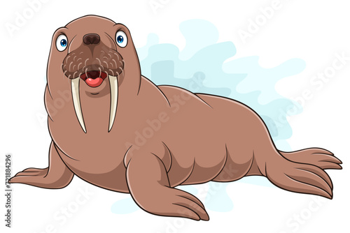 Cartoon walrus isolated on white background